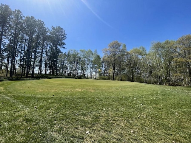 25186 US-71 # 18, Park Rapids, MN 56470 - view of grassy yard
