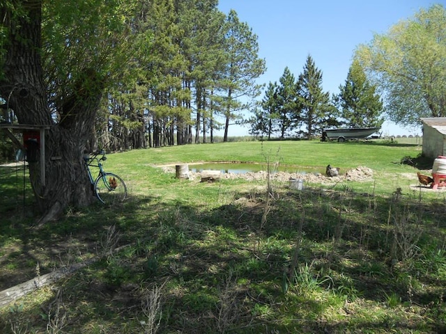 39769 Kestrel Ave, Tamarack, MN 55787 - view of grassy yard