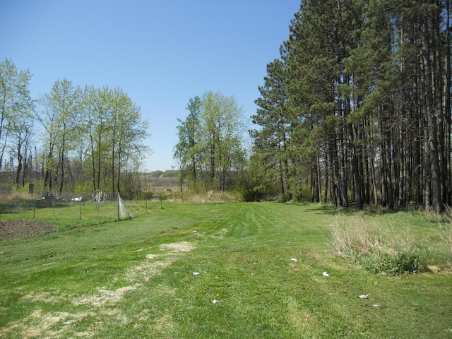 39769 Kestrel Ave, Tamarack, MN 55787 - view of green lawn
