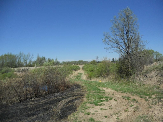 39769 Kestrel Ave, Tamarack, MN 55787 - view of street
