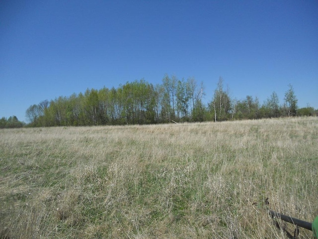 39769 Kestrel Ave, Tamarack, MN 55787 - view of nature featuring rural landscape