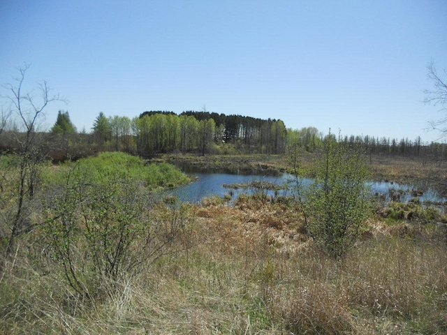 39769 Kestrel Ave, Tamarack, MN 55787 - water view