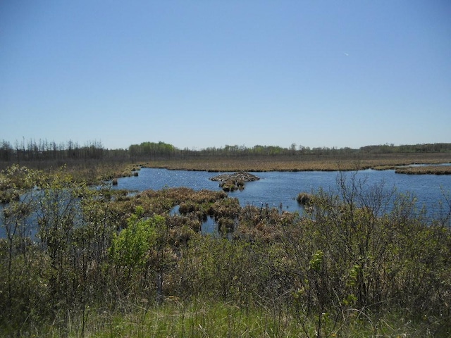 39769 Kestrel Ave, Tamarack, MN 55787 - water view