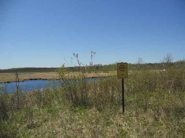 39769 Kestrel Ave, Tamarack, MN 55787 - water view