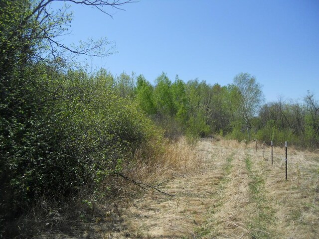 39769 Kestrel Ave, Tamarack, MN 55787 - view of tree filled area