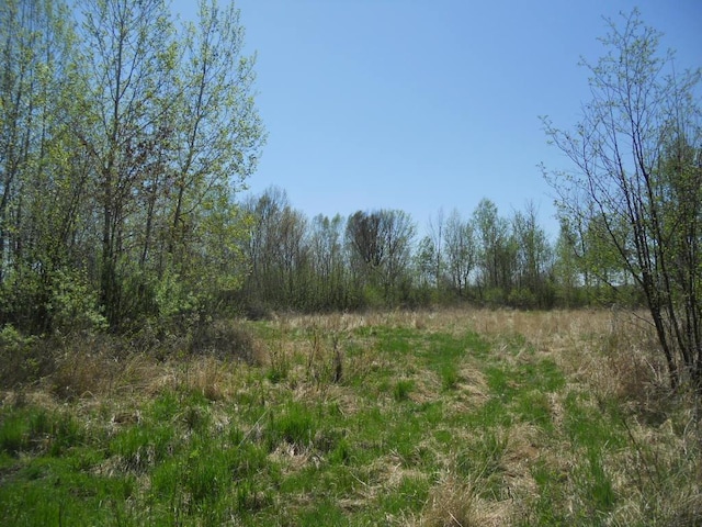 39769 Kestrel Ave, Tamarack, MN 55787 - view of local wilderness