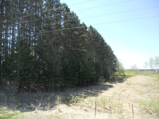 39769 Kestrel Ave, Tamarack, MN 55787 - view of nature