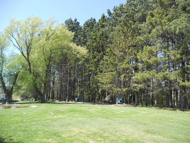 39769 Kestrel Ave, Tamarack, MN 55787 - view of green lawn
