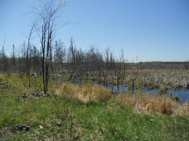 39769 Kestrel Ave, Tamarack, MN 55787 - view of local wilderness