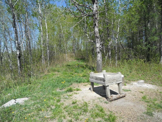 39769 Kestrel Ave, Tamarack, MN 55787 - view of yard with a view of trees