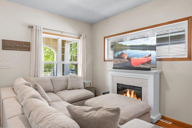 2737 Faulkner Dr, Chaska, MN 55318 - living room with a glass covered fireplace, wood finished floors, baseboards, and a textured ceiling