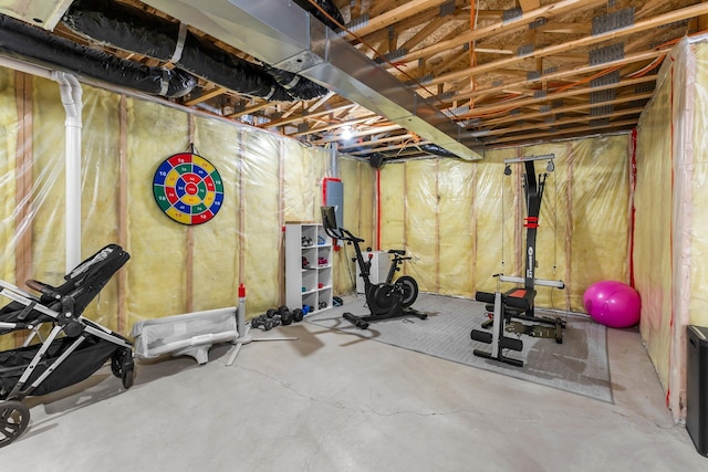 2737 Faulkner Dr, Chaska, MN 55318 - view of workout area
