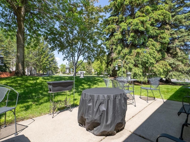 9349 Kimberly Ln N, Maple Grove, MN 55311 - view of patio