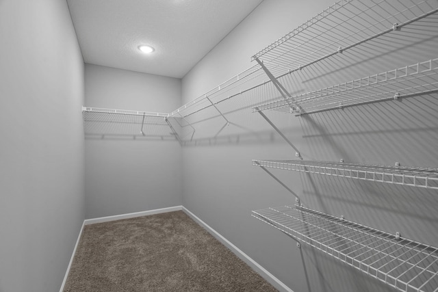 14617 Quintana St NW, Ramsey, MN 55303 - spacious closet featuring carpet flooring