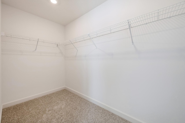 spacious closet featuring carpet flooring