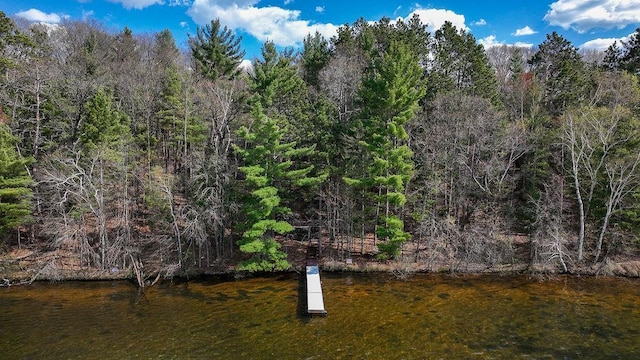 1196 Blackburn Rd, Scott Twp, WI 54801 - view of woods