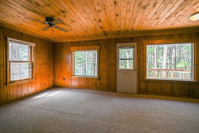 1196 Blackburn Rd, Scott Twp, WI 54801 - spare room with healthy amount of natural light, wood ceiling, wood walls, carpet floors, and a ceiling fan