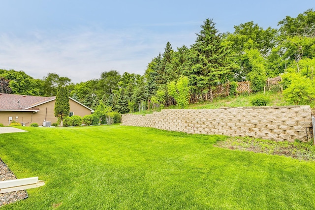121 Yorkton Rdg, Little Canada, MN 55117 - view of green lawn with central air condition unit
