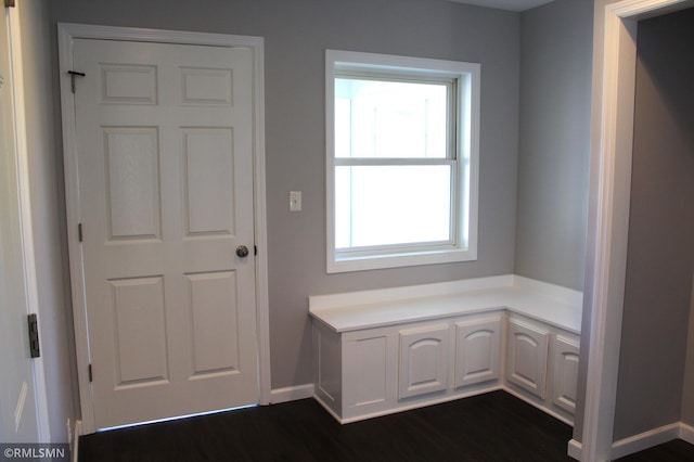 1310 Pacific St, Saint Paul, MN 55106 - mudroom with healthy amount of natural light, dark wood finished floors, and baseboards