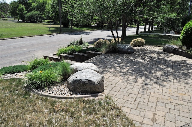 1401 5th St, Montevideo, MN 56265 - view of home's community featuring a lawn and a patio area