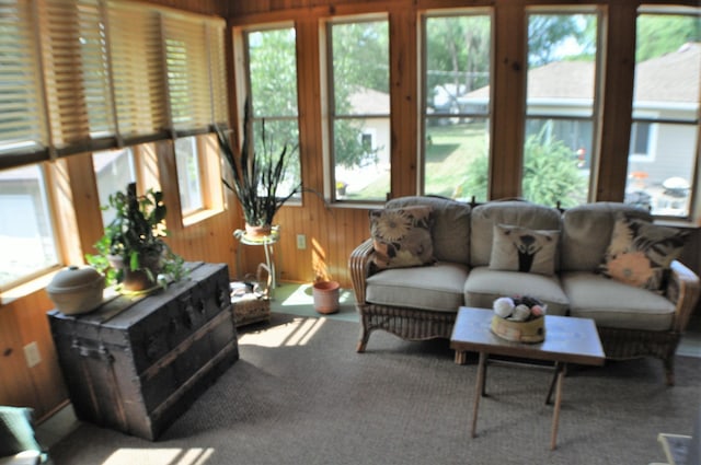 1401 5th St, Montevideo, MN 56265 - sunroom / solarium featuring wood walls and carpet flooring