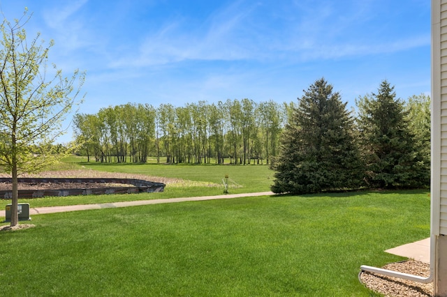 view of grassy yard