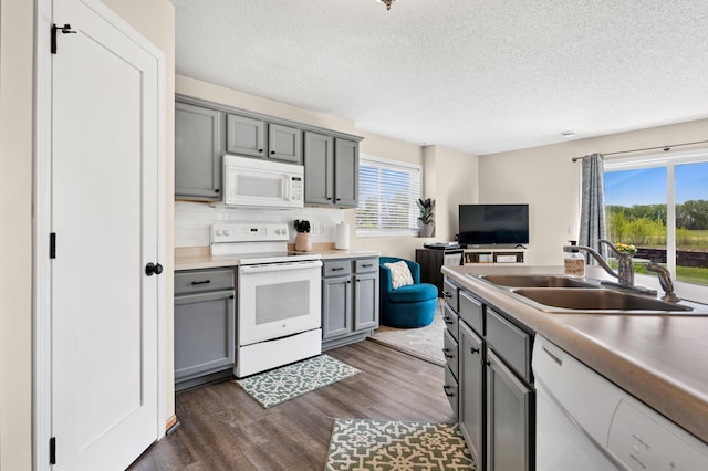 kitchen featuring white appliances, gray cabinetry, a sink, dark wood-type flooring, and plenty of natural light