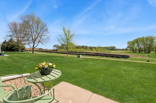 view of home's community with a yard