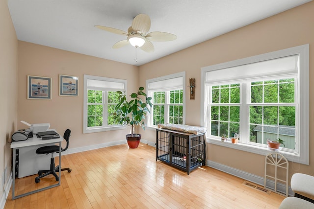 855 Elins Lake Rd SE, Cambridge, MN 55008 - office area featuring baseboards, hardwood / wood-style floors, and ceiling fan