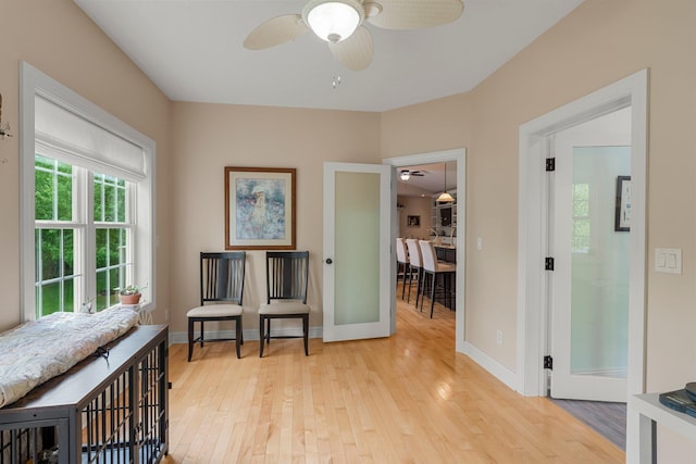 855 Elins Lake Rd SE, Cambridge, MN 55008 - corridor featuring light wood-style floors and baseboards