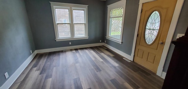 217 Flynn St, Redwood Falls, MN 56283 - foyer featuring dark wood-style flooring and baseboards