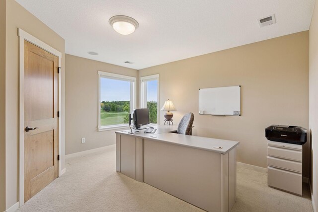 315 Lindsay Rd, Hudson, WI 54016 - photo 59