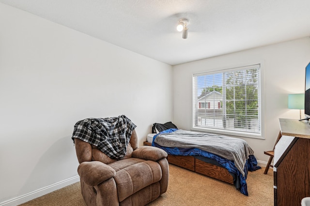 21113 Clydesdale Curv, Forest Lake, MN 55025 - bedroom with light carpet and baseboards