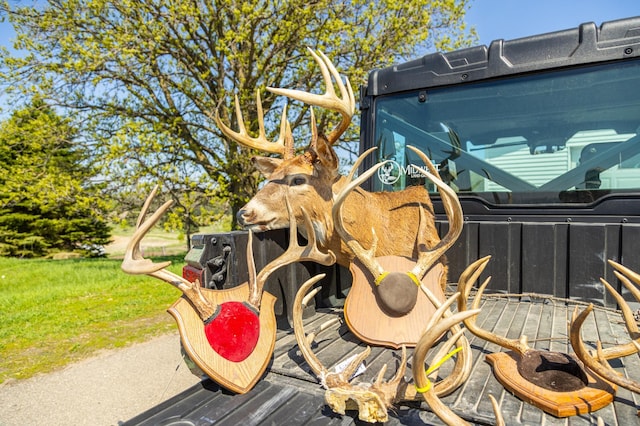 TBD 302nd St, Langhei Twp, MN 56381