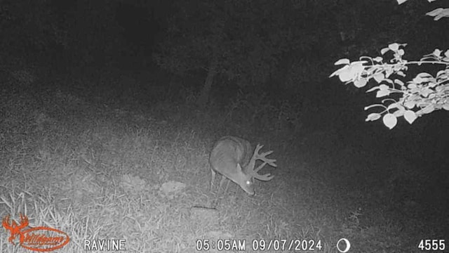 TBD 302nd St, Langhei Twp, MN 56381