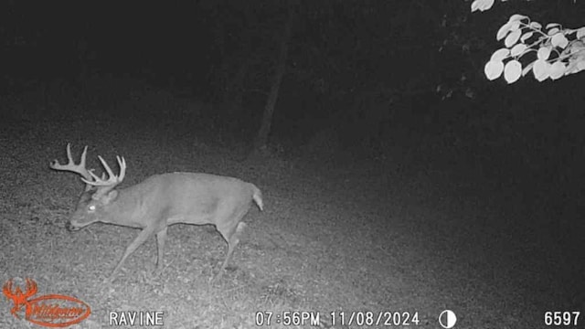 TBD 302nd St, Langhei Twp, MN 56381