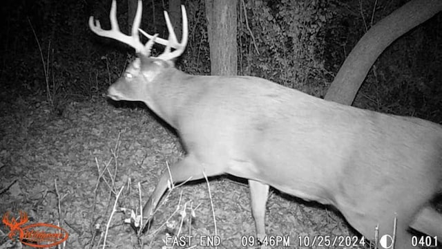 TBD 302nd St, Langhei Twp, MN 56381
