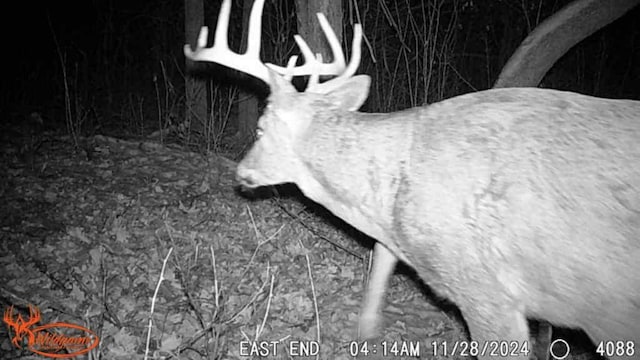 TBD 302nd St, Langhei Twp, MN 56381