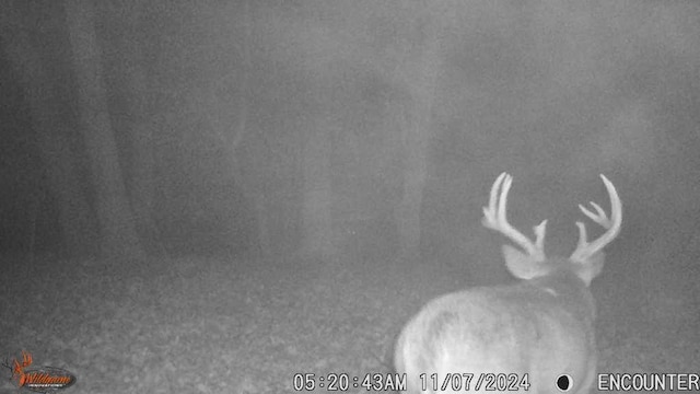 TBD 302nd St, Langhei Twp, MN 56381