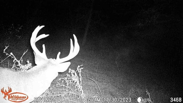 TBD 302nd St, Langhei Twp, MN 56381
