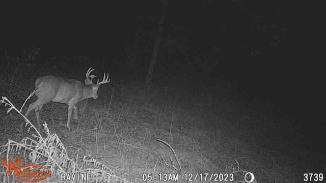 TBD 302nd St, Langhei Twp, MN 56381
