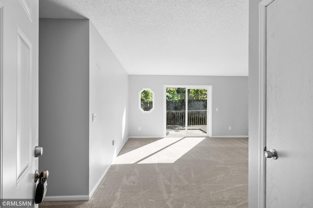 230 8th St NW, Elk River, MN 55330 - unfurnished room with carpet floors, baseboards, a textured ceiling, and lofted ceiling