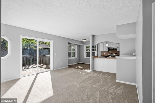 230 8th St NW, Elk River, MN 55330 - unfurnished living room with a textured ceiling, light colored carpet, baseboards, arched walkways, and a sink