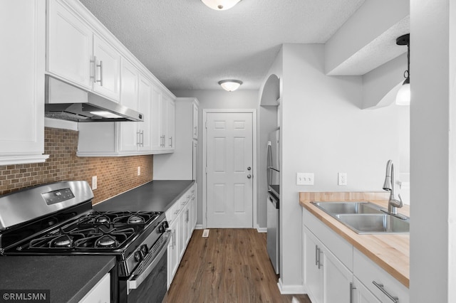 230 8th St NW, Elk River, MN 55330 - kitchen featuring stainless steel appliances, under cabinet range hood, a sink, white cabinets, and dark wood-style floors