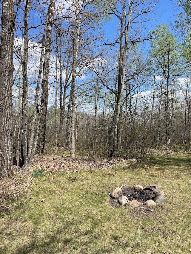 view of yard featuring a view of trees