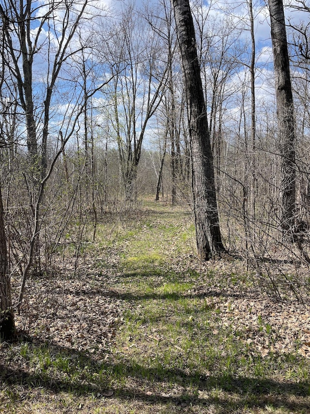 view of undeveloped land