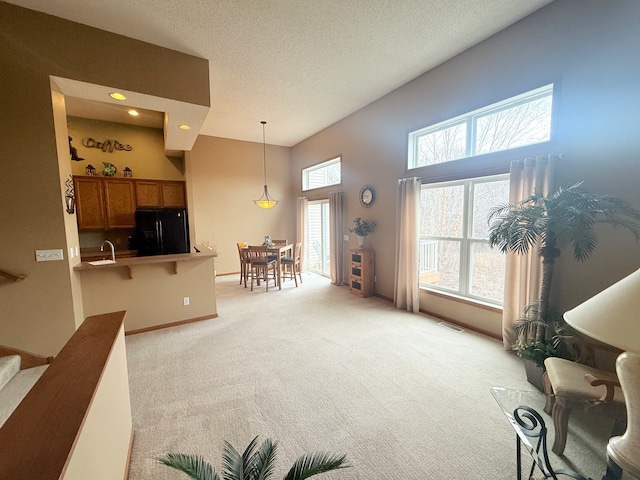 5173 Farnham Dr N, Hugo, MN 55038 - living area with light carpet, a textured ceiling, recessed lighting, and baseboards