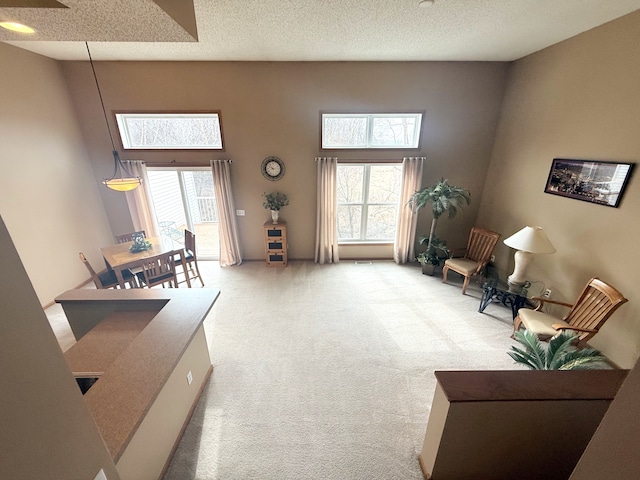 5173 Farnham Dr N, Hugo, MN 55038 - carpeted living area with a towering ceiling and a textured ceiling
