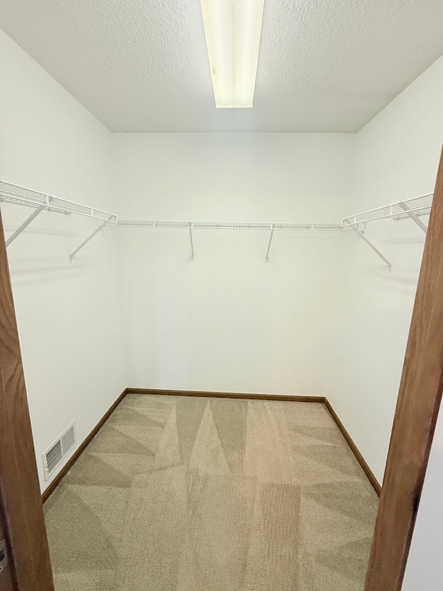 5173 Farnham Dr N, Hugo, MN 55038 - spacious closet featuring carpet flooring