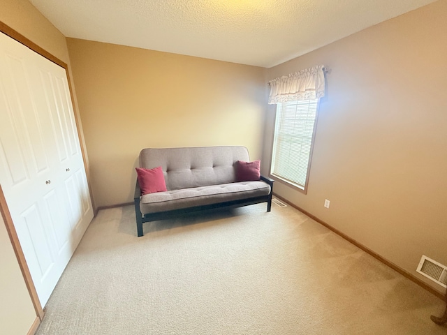 5173 Farnham Dr N, Hugo, MN 55038 - living area featuring carpet, baseboards, and a textured ceiling